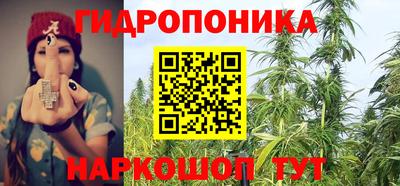 гидропоника Лесосибирск