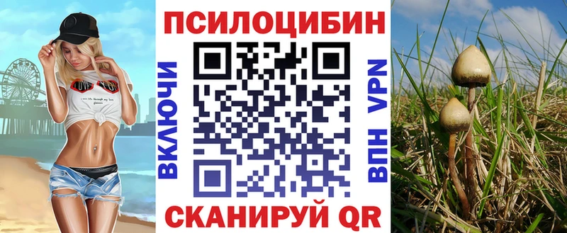 MEGA маркетплейс  Белово  Галлюциногенные грибы GOLDEN TEACHER  продажа наркотиков 