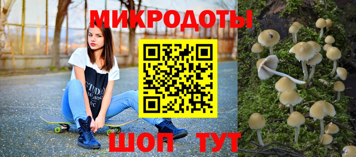 Белово  Галлюциногенные грибы Psilocybine cubensis  Вход с VPN 